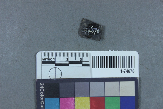 Hearst Museum object titled Scraper, accession number 1-74678, described as Obsidian.