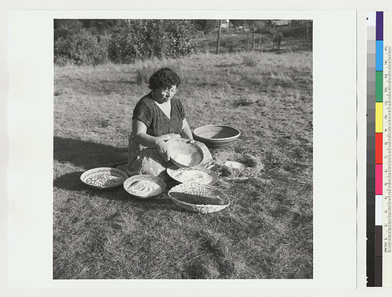 Hearst Museum object titled Black-and-white negative, accession number 15-19545, described as Essie Parrish preparing acorn meal