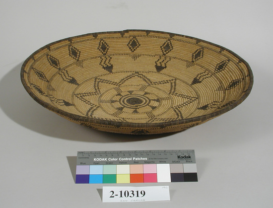 Hearst Museum object titled Tray, accession number 2-10319, described as Concave, coiled basketry; with geometric black decoration of Martynia.