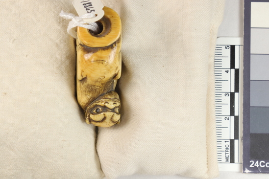 Hearst Museum object titled Netsuke, accession number 9-18865, described as Netsuke; badger (?), with hea [sic, head] looking backwards over left shoulder; sitting on haunches on bamboo log; H 4.4 cm X W 3.3 cm