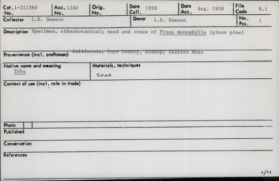 Documentation associated with Hearst Museum object titled Seed and cones, accession number 1-211560, described as Sample. Pinus monophylla, pinon nuts.