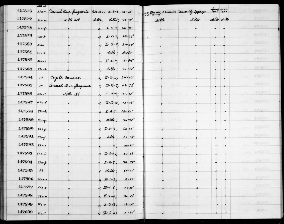 Documentation associated with Hearst Museum object titled Faunal remains, accession number 1-147585, described as Animal.