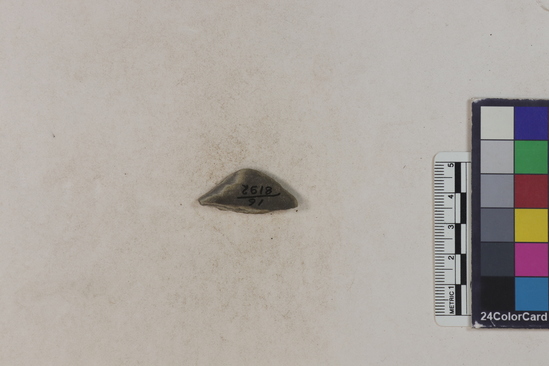 Hearst Museum object 164 of 183 titled Potsherd, accession number 16-8192, described as Potsherd: bodys Section of Manta on beach currently inhabited. Numbers  8111 to 8194 are sherds picked up on beach at low tide.