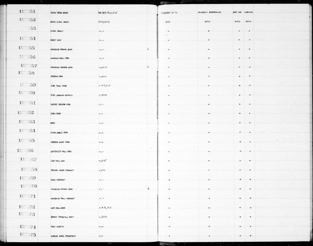 Documentation associated with Hearst Museum object titled Shell fragment, accession number 1-129871, described as Unmodified shell fragment.