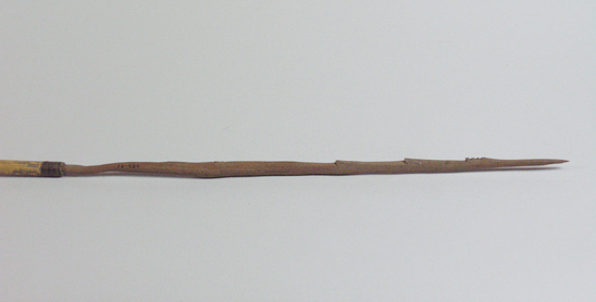 Hearst Museum object titled Arrow, accession number 16-434, described as Arrow, barbed hardwood point, cane shaft, feathers in poor condition