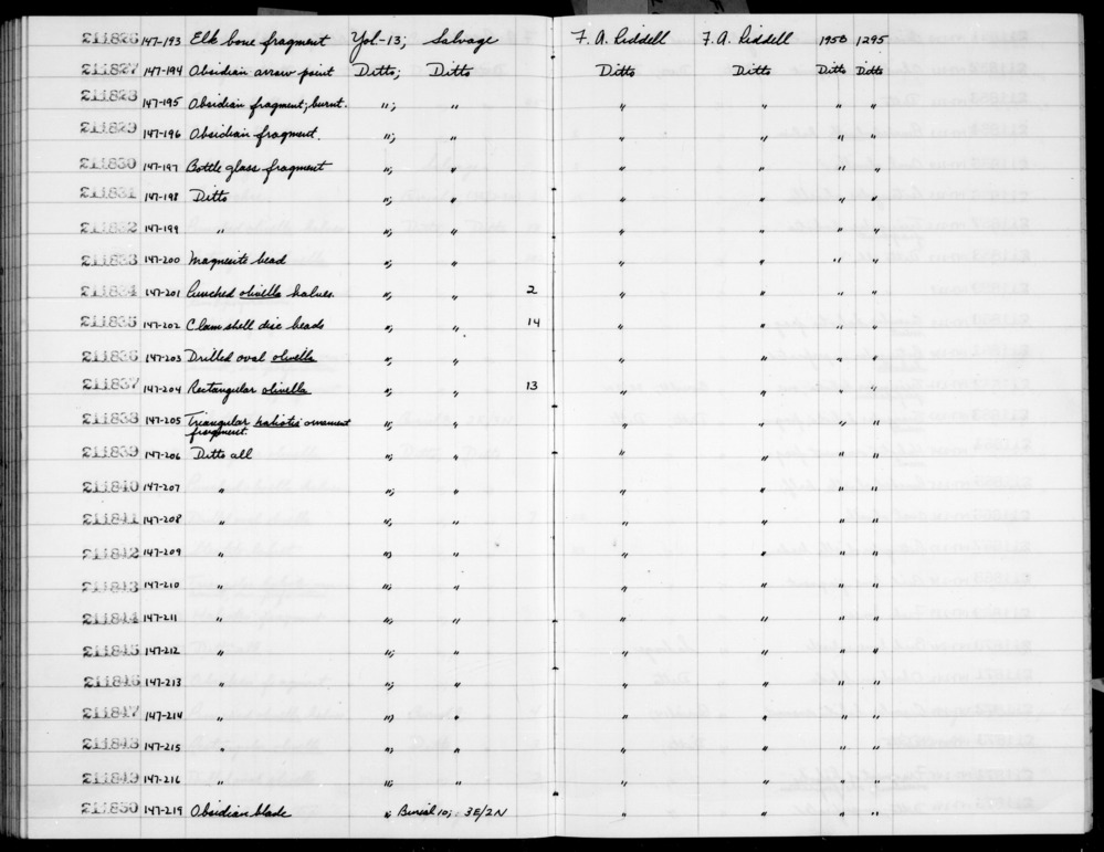 Documentation associated with Hearst Museum object titled Shell fragment, accession number 1-211849, described as Triangular, haliotis.