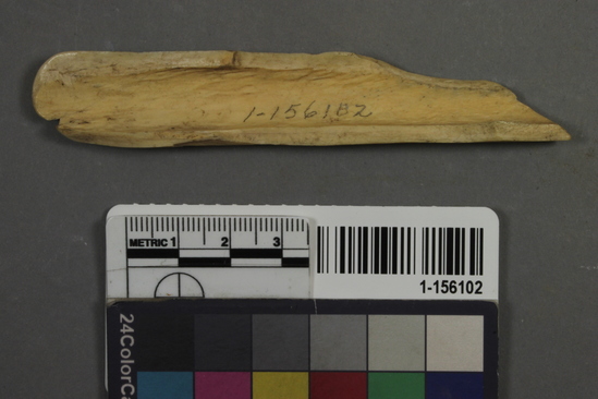 Hearst Museum object titled Bone tool fragment, accession number 1-156102, described as Unmodified, mammal.