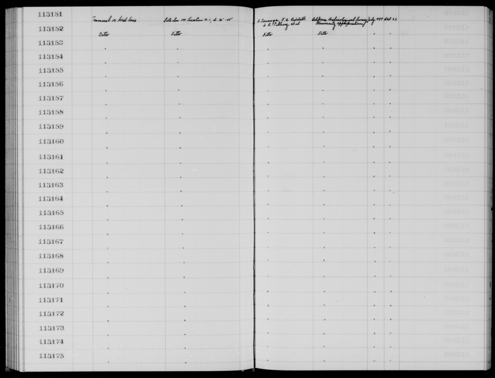 Documentation associated with Hearst Museum object titled Faunal remains, accession number 1-113166, described as Mammal or bird.