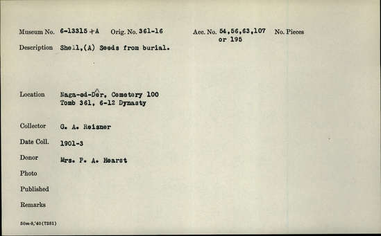 Documentation associated with Hearst Museum object titled Seeds, accession number 6-13315, described as Shell, (a) Seeds from burial.