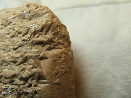 Hearst Museum object 17 of 132 titled Cuneiform tablet, accession number 9-2586, described as Neo-Babylonian Document from Erech