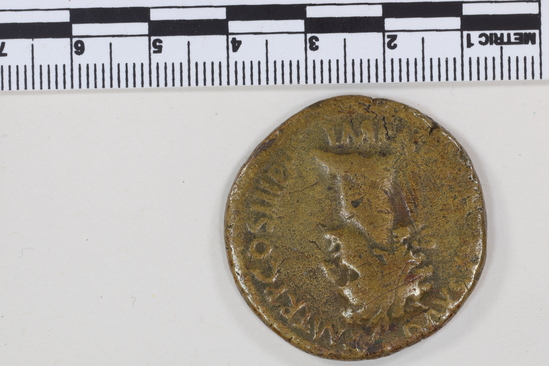 Hearst Museum object 10 of 14 titled Coin: æ sestertius, accession number 8-6029, described as Coin: Sestertius; Æ; Nerva - 21.49 grams. Obverse: IMP[NERVA CAES] AVG    PM TRP COS III PP - Head laureate facing right. Reverse: CONCORDIA EXERCITVVM-  SC; clasped hands holding legionary eagle set on prow facing left.