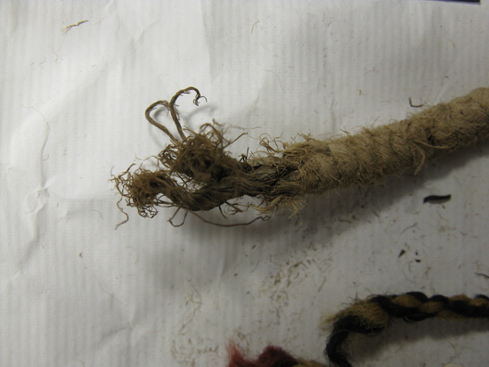 Hearst Museum object 39 of 42 titled Sling, accession number 4-4245a, no description available.