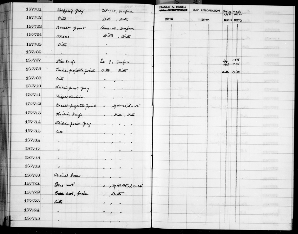 Documentation associated with Hearst Museum object titled Awl, accession number 1-197723, described as Bone, broken.