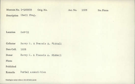 Documentation associated with Hearst Museum object titled Shell fragment, accession number 1-165638, described as Shell fragment.