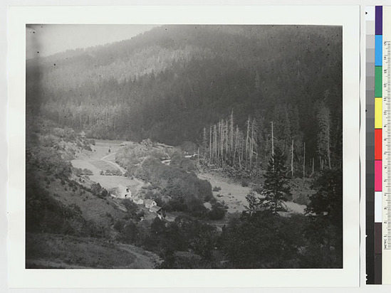 Hearst Museum object titled Black-and-white negative, accession number 15-3299, described as Bairs on Redwood Creek, from south