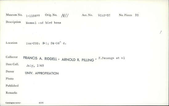 Documentation associated with Hearst Museum object titled Faunal remains, accession number 1-113877, described as Mammal and bird.