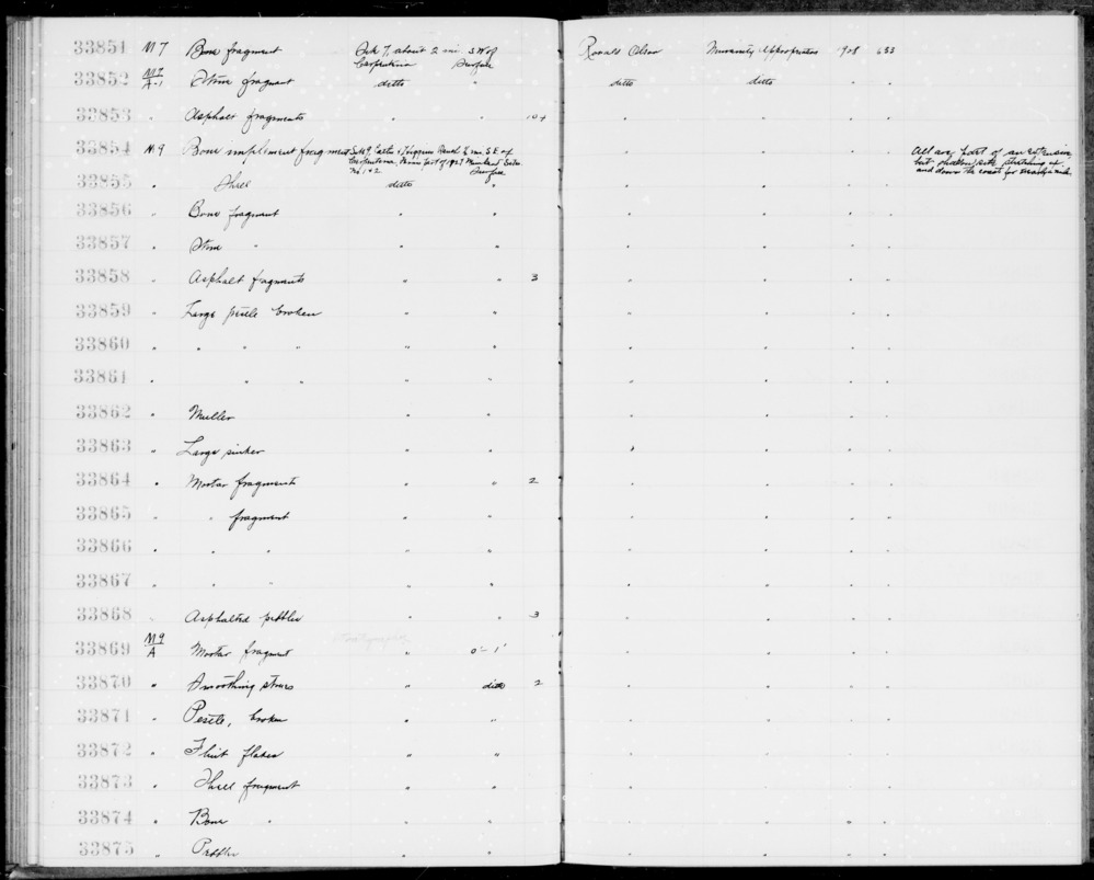 Documentation associated with Hearst Museum object titled Shell fragment, accession number 1-33873, described as Shell fragment