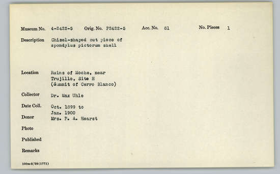 Documentation associated with Hearst Museum object titled Worked shell, accession number 4-2422, described as Chisel-shaped cut piece of Spondylus pictorum shell.