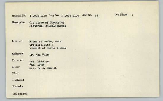 Documentation associated with Hearst Museum object titled Worked shell, accession number 4-1089, described as Cut piece of Spondylus pictorum, chisel-shaped.