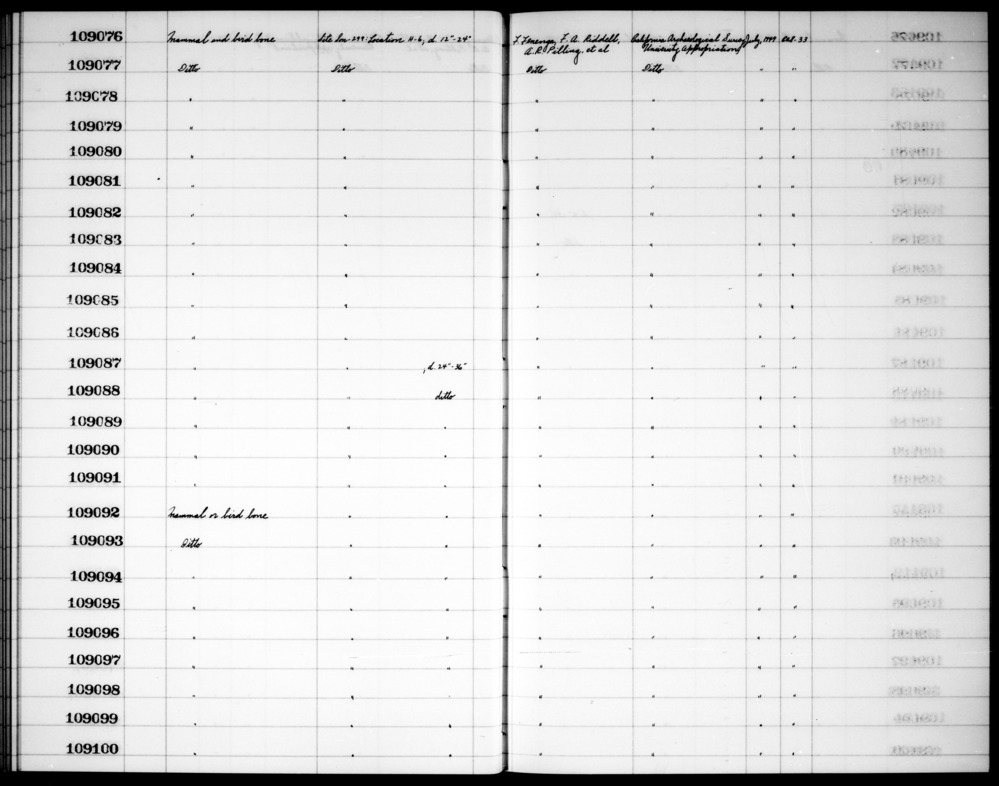 Documentation associated with Hearst Museum object titled Faunal remains, accession number 1-109086, described as Mammal or bird.