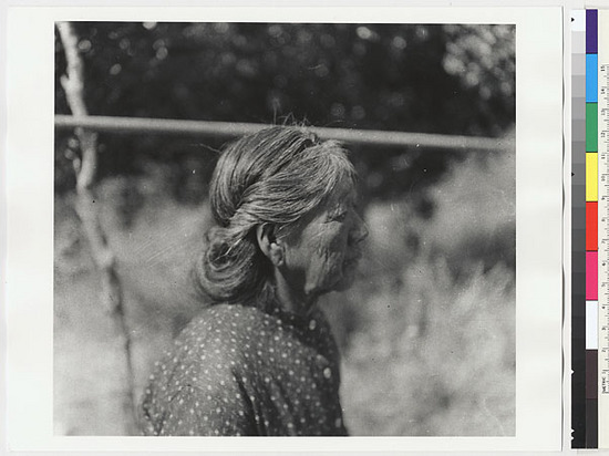 Hearst Museum object titled Black-and-white negative, accession number 15-5569, described as Mrs. Susie Williams, profile