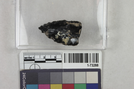 Hearst Museum object titled Point, accession number 1-73288, described as Obsidian point fragment