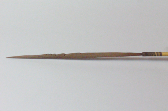 Hearst Museum object titled Arrow, accession number 16-502, described as Arrow, barbed hardwood point, cane shaft, feathers in poor condition