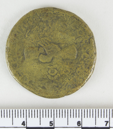 Hearst Museum object 8 of 14 titled Coin: æ sestertius, accession number 8-6029, described as Coin: Sestertius; Æ; Nerva - 21.49 grams. Obverse: IMP[NERVA CAES] AVG    PM TRP COS III PP - Head laureate facing right. Reverse: CONCORDIA EXERCITVVM-  SC; clasped hands holding legionary eagle set on prow facing left.