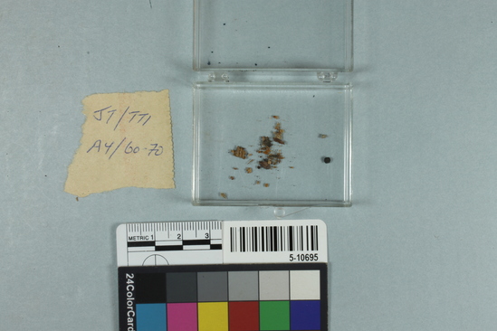 Hearst Museum object titled Plant remains, accession number 5-10695, described as Plant remains; plant samples, various