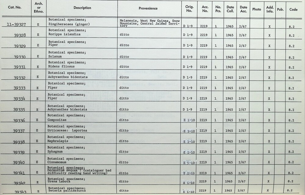 Hearst Museum object 2 of 2 titled Herbarium specimen, accession number 11-39342, described as Botanical sample; Urena lobata. From the Flora Malesiana project.