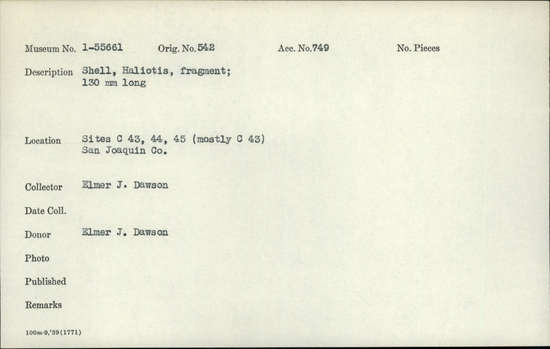 Documentation associated with Hearst Museum object titled Shell fragment, accession number 1-55661, described as Shell fragment, Haliotis; 130 mm long