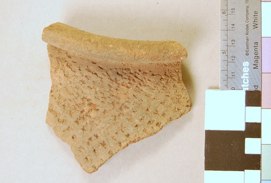 Hearst Museum object titled Potsherd, accession number 5-5063, described as Brown rim sherd with stamped design; length 10 cm