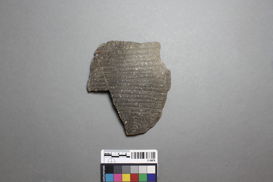 Hearst Museum object titled Potsherd, accession number 2-16878, described as Sherd; body, shell tempered, incised and punctated