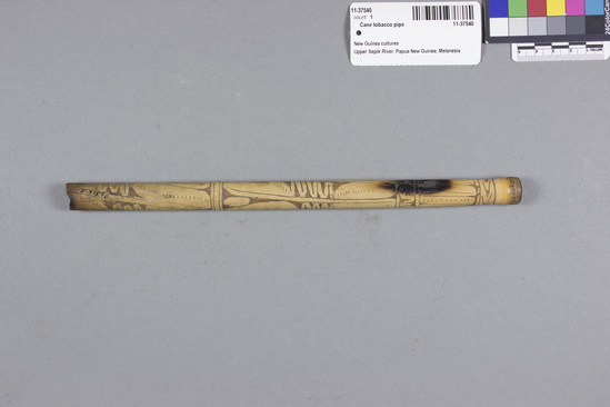 Hearst Museum object 2 of 2 titled Cane tobacco pipe, accession number 11-37540, described as Tobacco pipe, cane, with incised designs filled with black pigment, 26 cm long. Used for smoking.