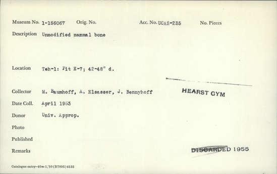 Documentation associated with Hearst Museum object titled Faunal remains, accession number 1-156067, described as Unmodified, mammal.