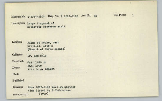 Documentation associated with Hearst Museum object titled Shell fragment, accession number 4-2097, described as Large fragment of Spondylus pictorum shell.