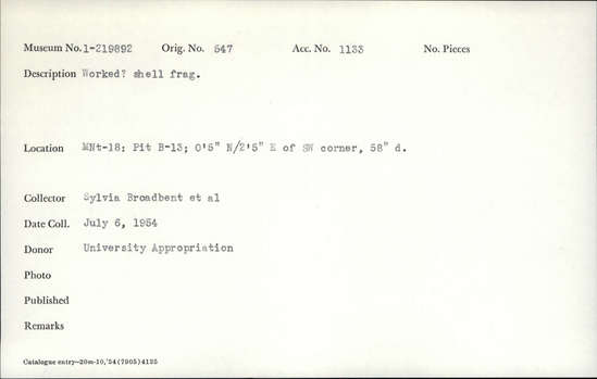 Documentation associated with Hearst Museum object titled Shell fragment, accession number 1-219892, described as Worked?