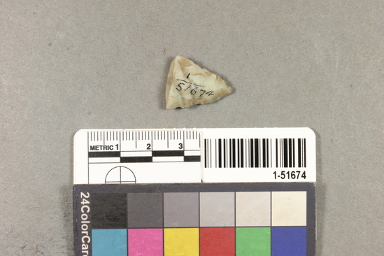 Hearst Museum object titled Projectile point, accession number 1-51674, described as Arrow point fragment, Franciscan chert.