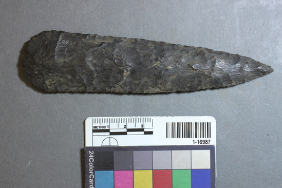 Hearst Museum object 27 of 28 titled Points, accession number 1-16987, described as Chipped points of flint, chert, etc.