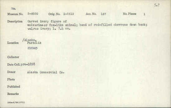 Documentation associated with Hearst Museum object titled Zoomorph, accession number 2-6020, described as Carved ivory figure of wolverine or fox-like animal.  Band of red-filled chevrons down back.  Made of walrus ivory.