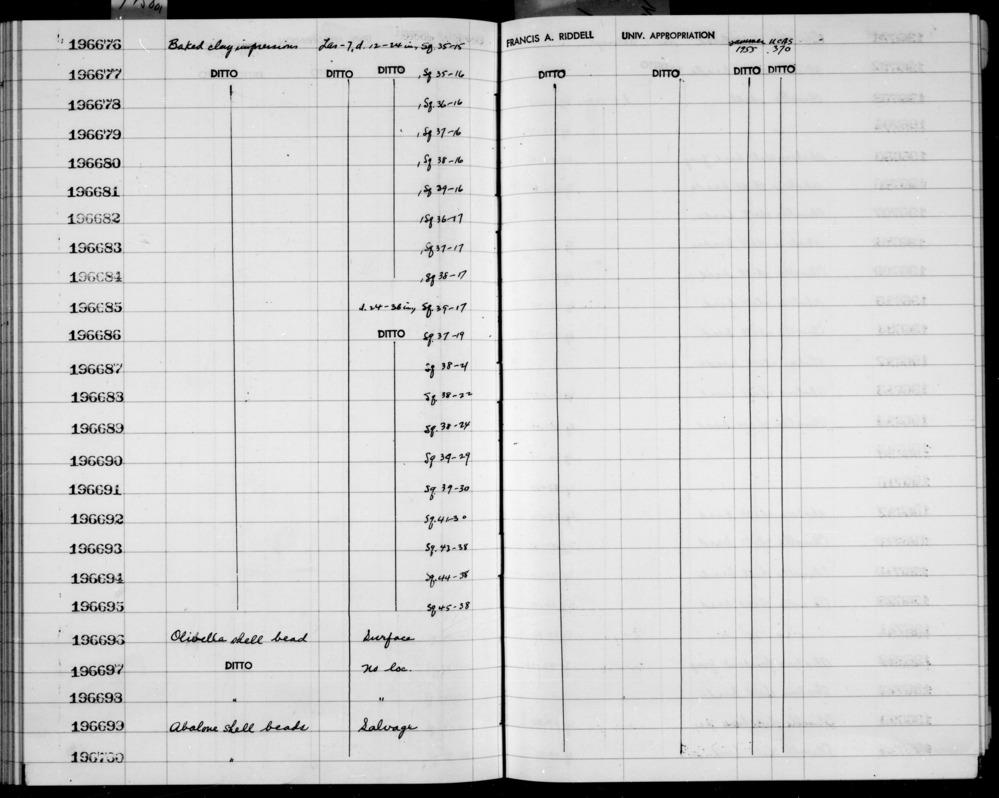 Documentation associated with Hearst Museum object titled Bead, accession number 1-196697, described as Olivella shell bead.