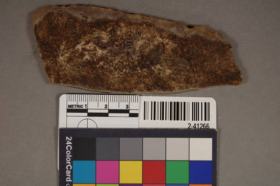 Hearst Museum object titled Blade, accession number 2-41266, described as No description given on catalog card.