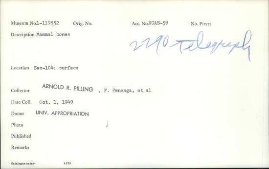 Documentation associated with Hearst Museum object titled Faunal remains, accession number 1-119552, described as Mammal bones