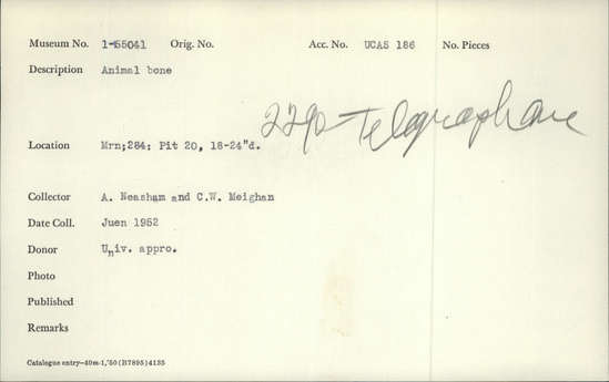 Documentation associated with Hearst Museum object titled Faunal remains, accession number 1-155041, described as Animal bone.