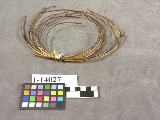 Hearst Museum object titled Basketry material, accession number 1-14027, described as Basketry material.  Bark of Redbud (Cercis occidentalis).