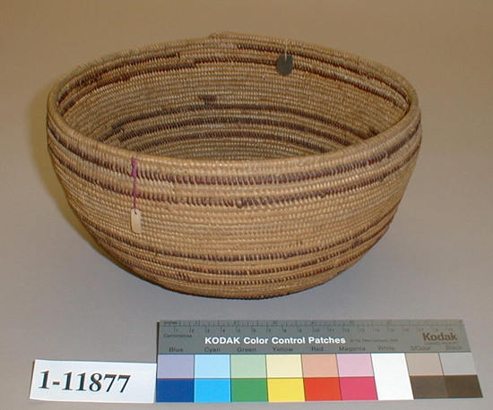 Hearst Museum object titled Bowl basket, accession number 1-11877, described as Globose coiled basket.  Tag: "Yuki". Per Ralph Shanks:  Coiled basket bowl.  Some food residue is in the bottom interior.  The basket has a twined start, with peeled redbud.  The coil foundation is made up of peeled shoot rods and splints.  The wefts are peeled and unpeeled redbud.  The design is three sets of horizontal multiple bands of unpeeled redbud, some with breaks.  A portion of two rows have two to three inches of alternating redbud.  There are random rectangles.  The rim is plain wrapped with peeled redbud.  The rim coil ending is back-stitched with five diagonal stiches.  The weft fag ends are clipped or bound under.  The moving ends are concealed.  The wefts are non-interlocking, 40% of the wefts are split on the interior and less than 10% are split on the exterior.  The workface is on the exterior.  The work direction is to the right with a down to the right slant of weft twist.  The basket was collected from Huchnom person, Susie Riley, but appears to be made in the Yuki style by Julia Wood (Yuki).