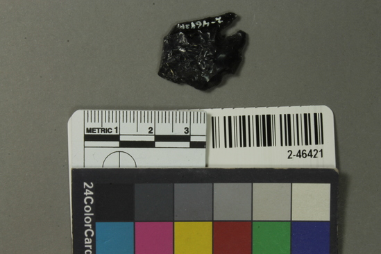 Hearst Museum object titled Projectile point, accession number 2-46421, described as No description given on catalog card.