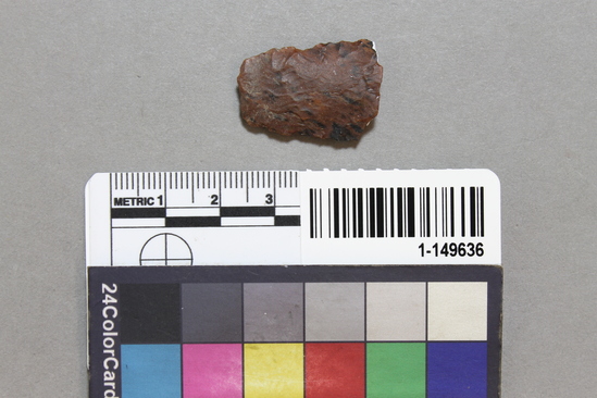 Hearst Museum object titled Projectile point fragment, accession number 1-149636, described as Obsidian. Elongate, unnotched, unstemmed, flat base. Fragment.