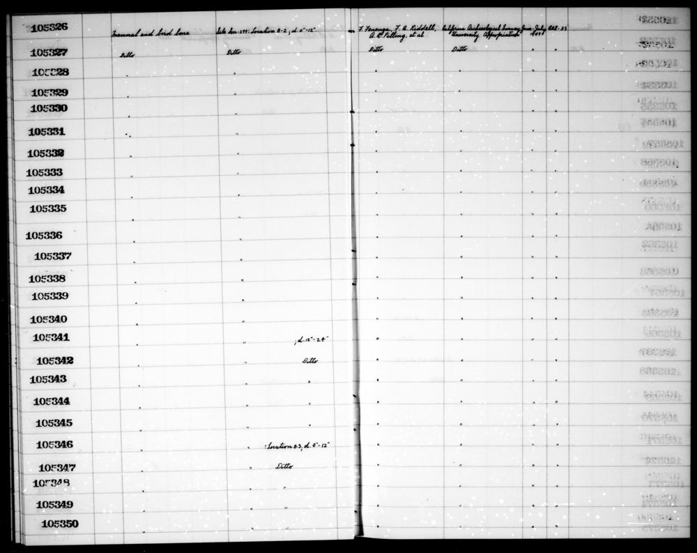 Documentation associated with Hearst Museum object titled Faunal remains, accession number 1-105326, described as Mammal and bird.