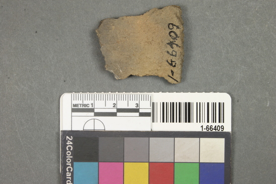 Hearst Museum object titled Potsherd, accession number 1-66409, described as Black Mesa Gray, olla rim, notched.